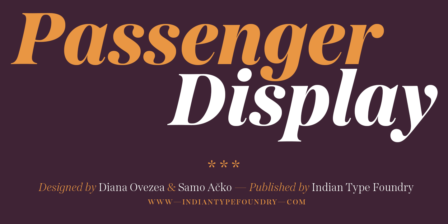 Passenger Display Medium Italic Font preview